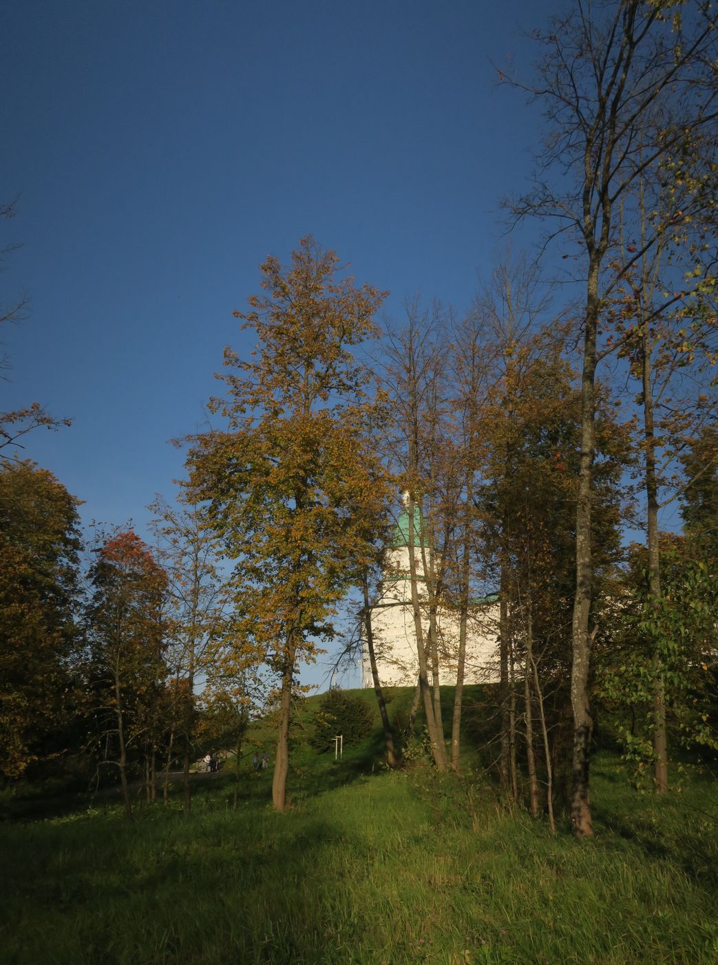 Истра и окрестности, image of landscape/habitat.