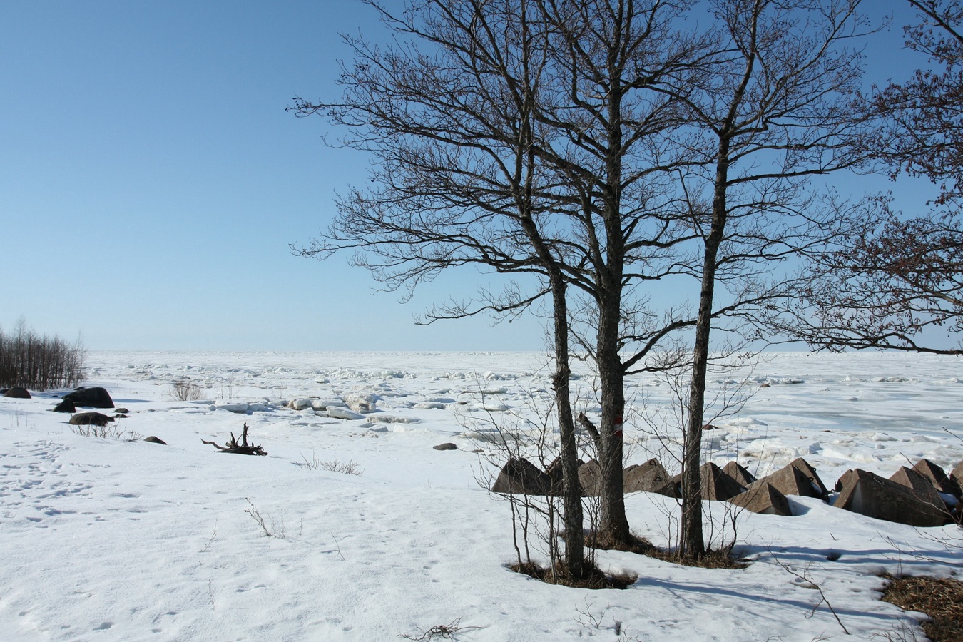 Каравалдай, image of landscape/habitat.