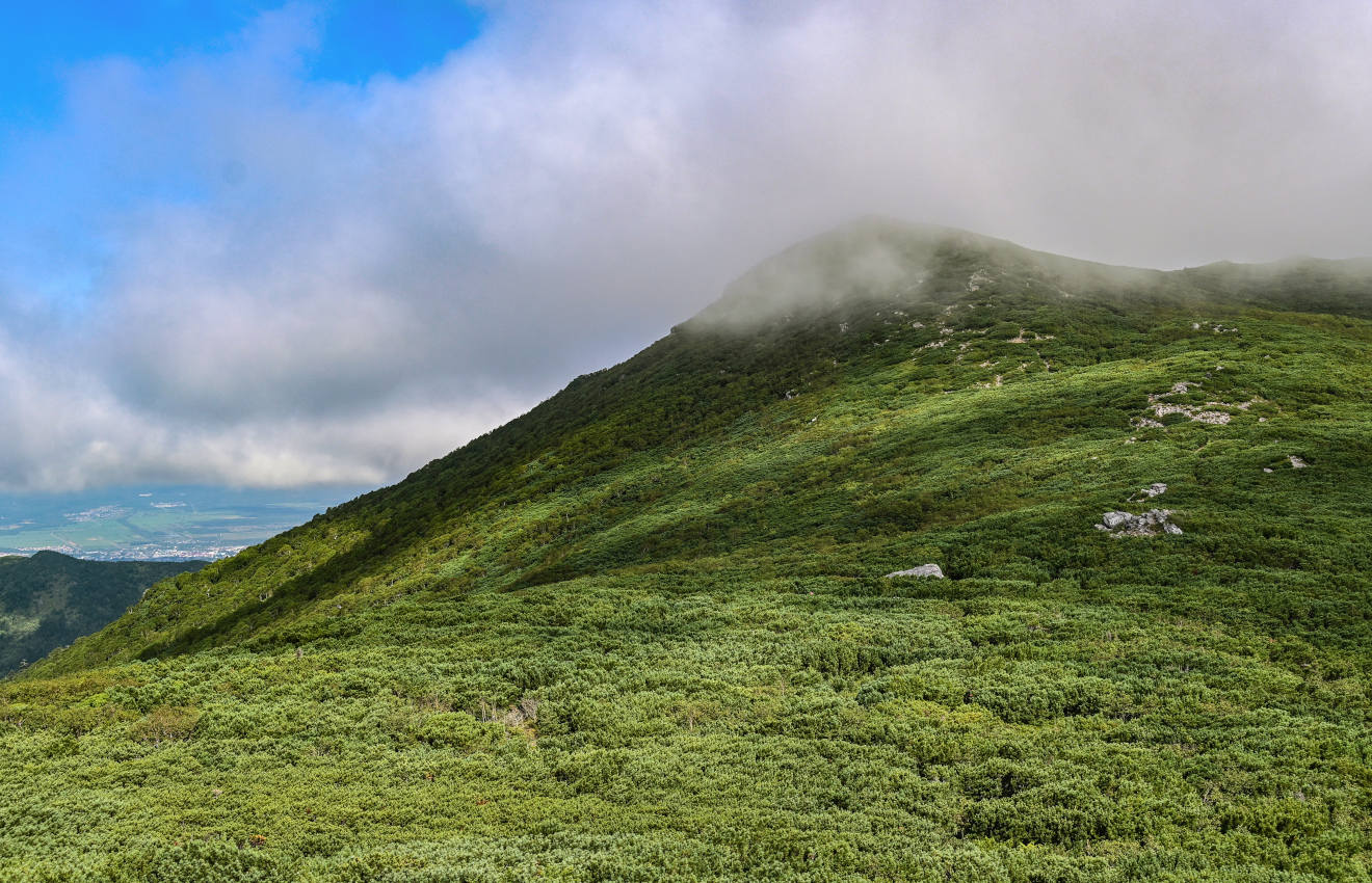 Пик Чехова, image of landscape/habitat.