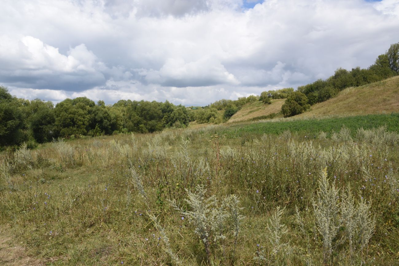 Воейково, image of landscape/habitat.