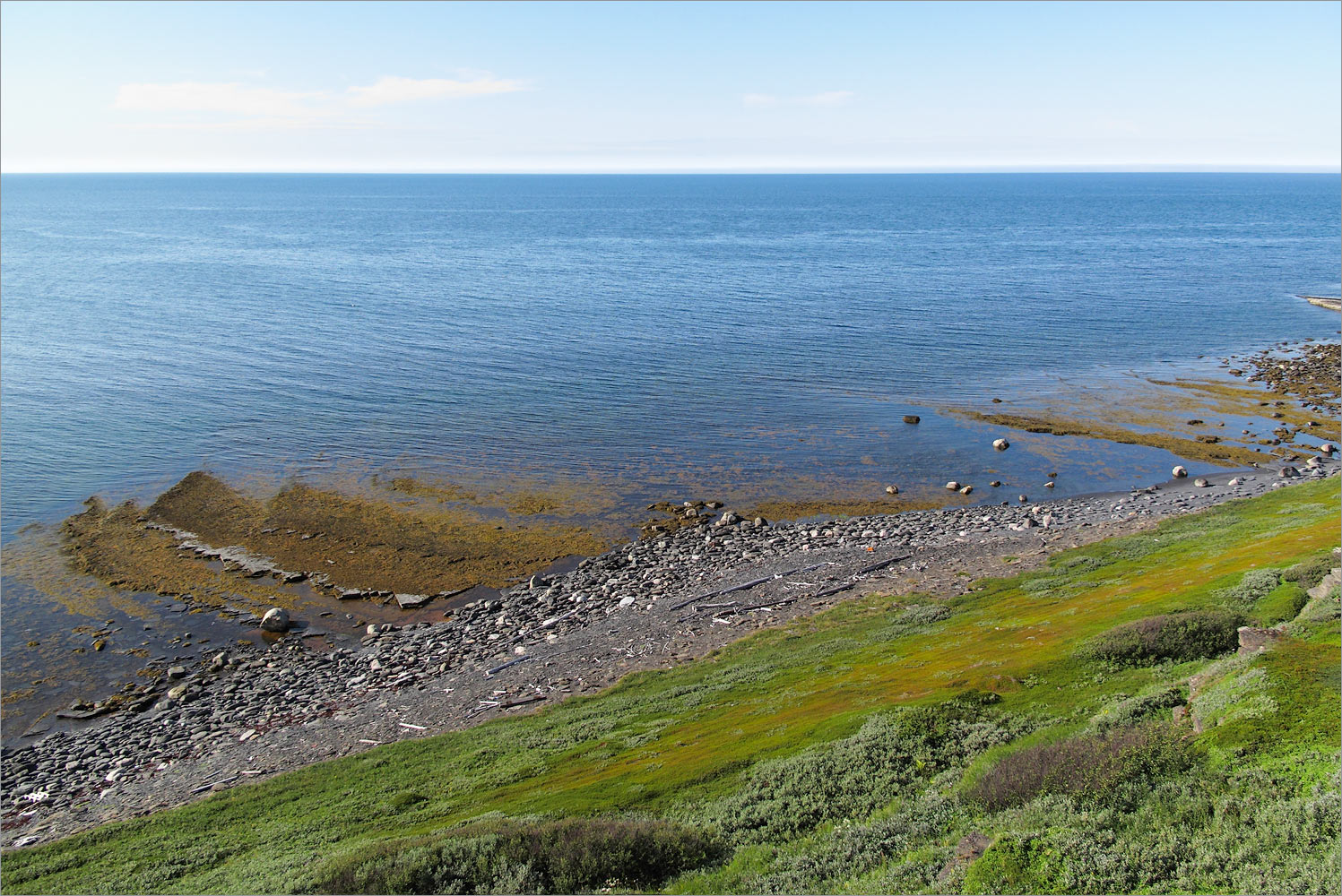 Мыс Земляной, image of landscape/habitat.