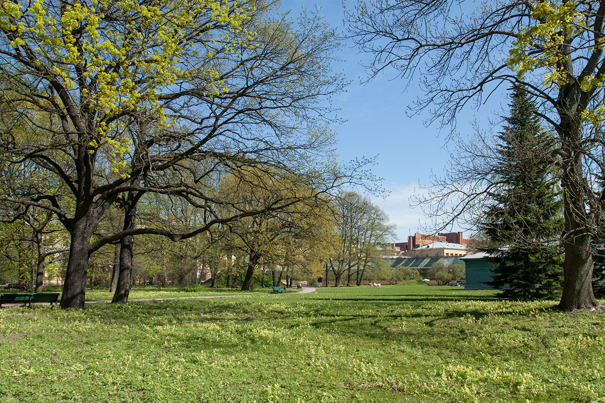 Парк Ботанического института РАН, image of landscape/habitat.