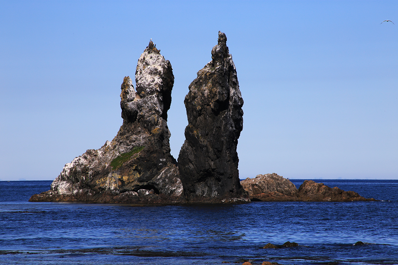 Мыс Бриннера, image of landscape/habitat.