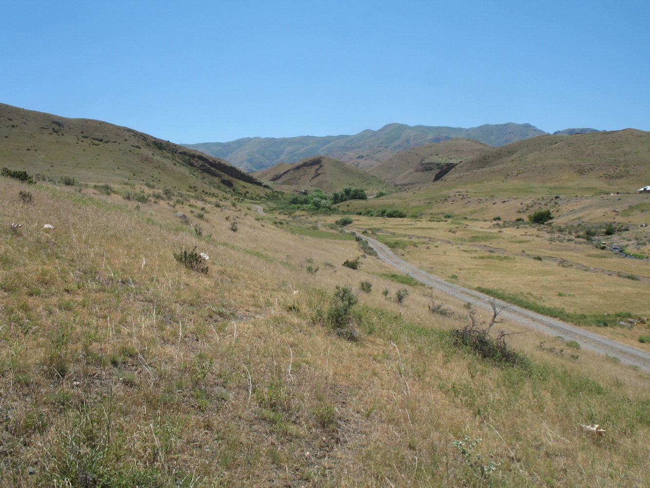 Ущелье Кара-Арча, image of landscape/habitat.