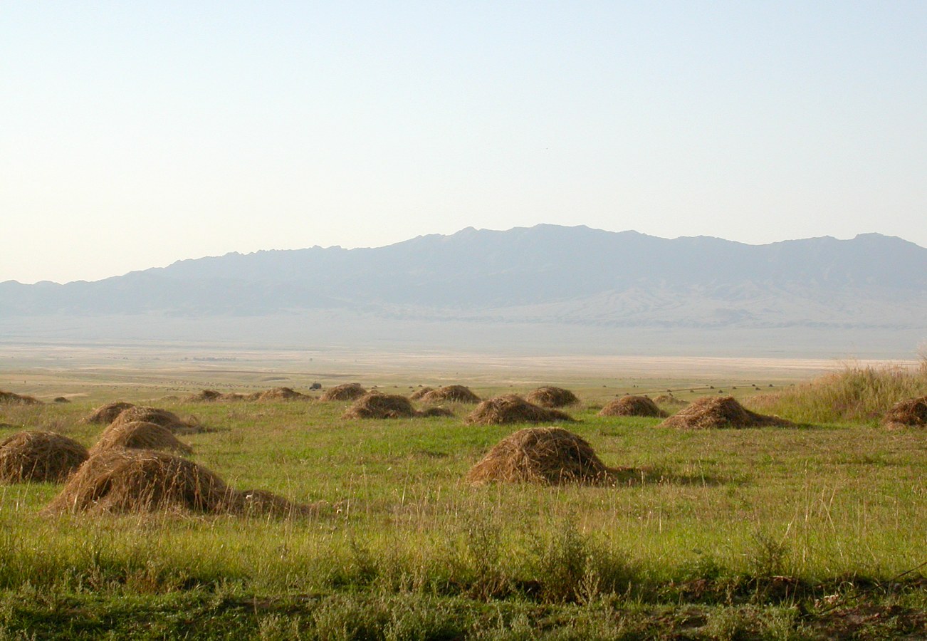 Шет-Мерке, image of landscape/habitat.