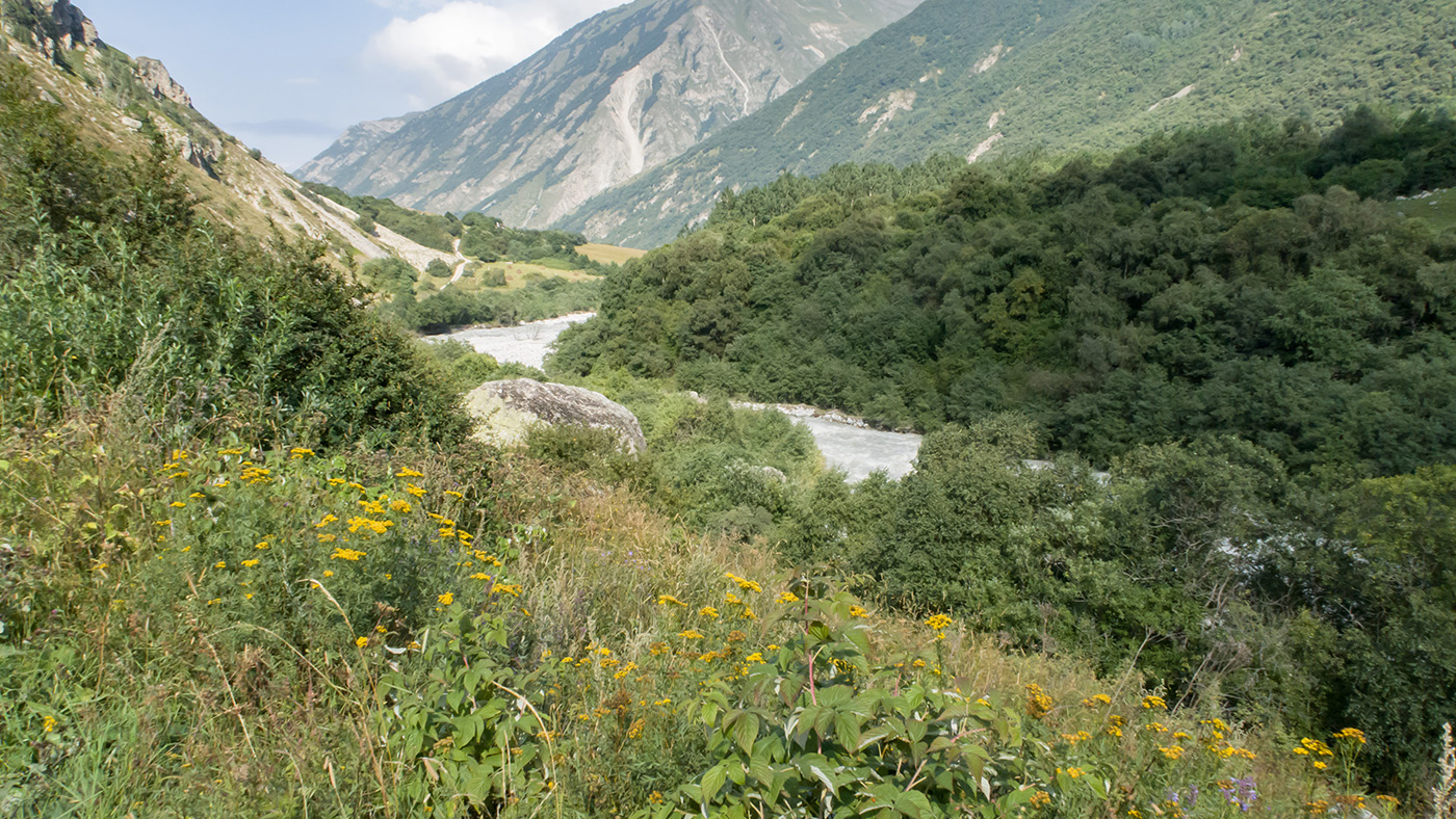 Черек-Хуламский, image of landscape/habitat.