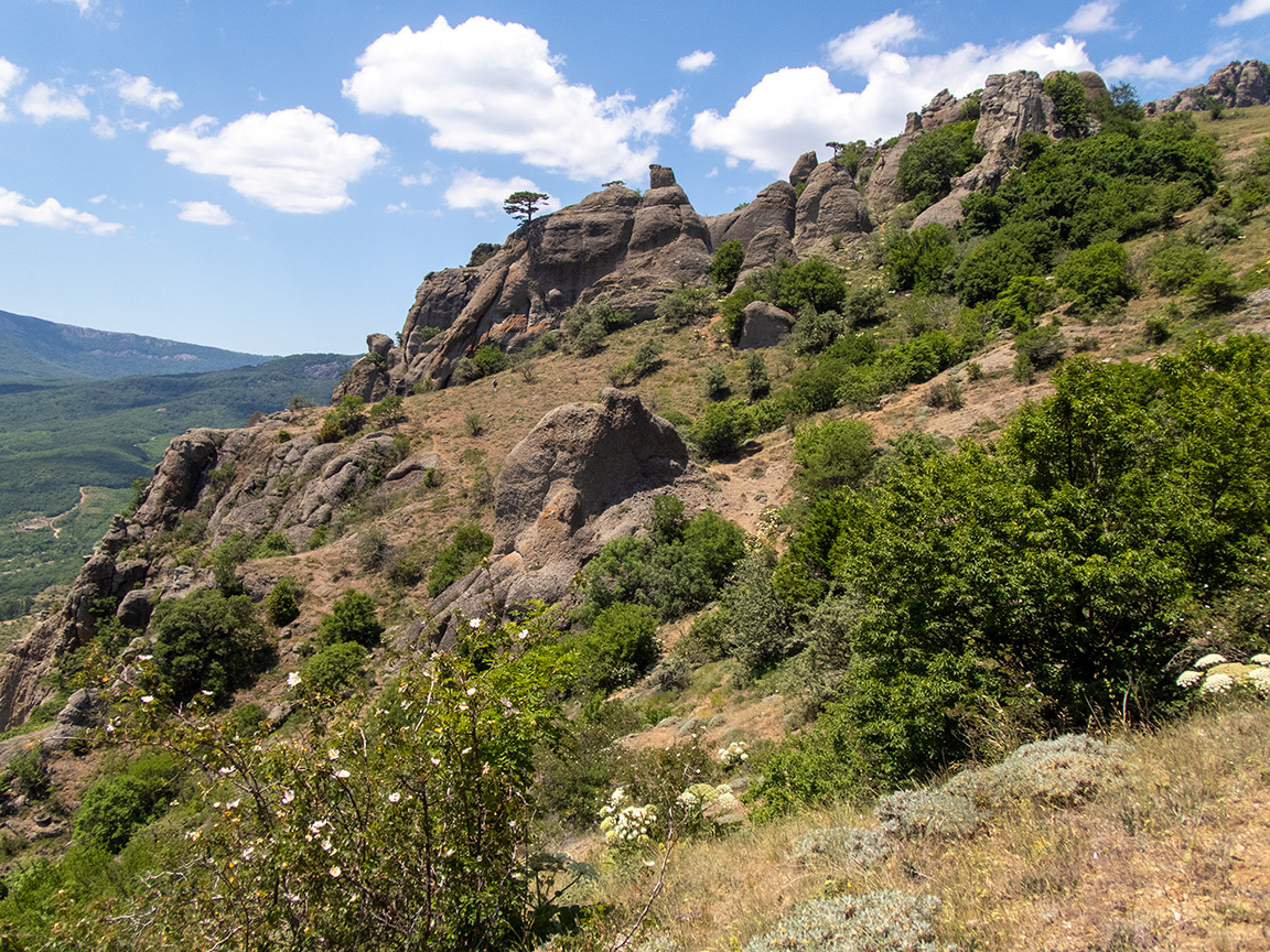 Южная Демерджи, image of landscape/habitat.