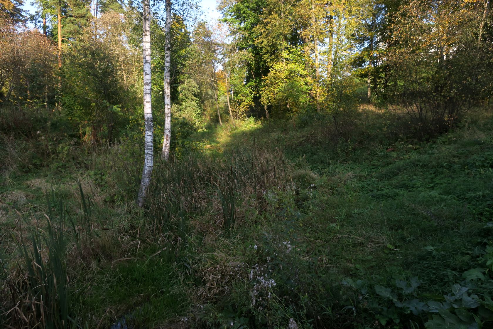 Истра и окрестности, image of landscape/habitat.