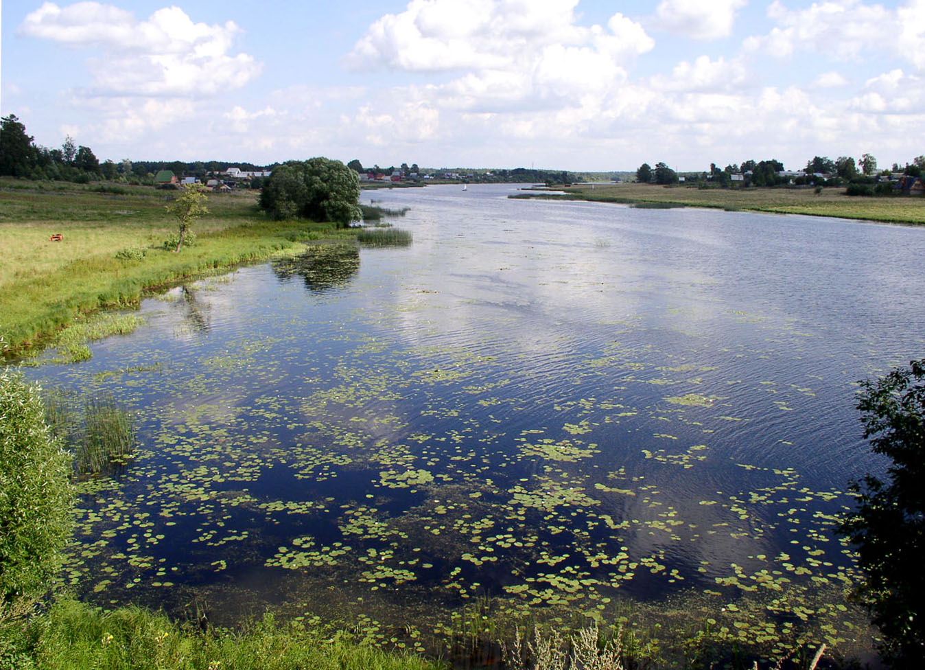 Угличское водохранилище, изображение ландшафта.