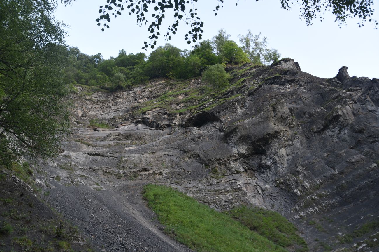 Левый приток реки Цесиахк, image of landscape/habitat.