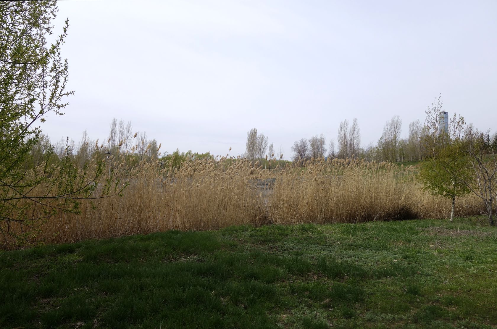 Президентский парк, image of landscape/habitat.