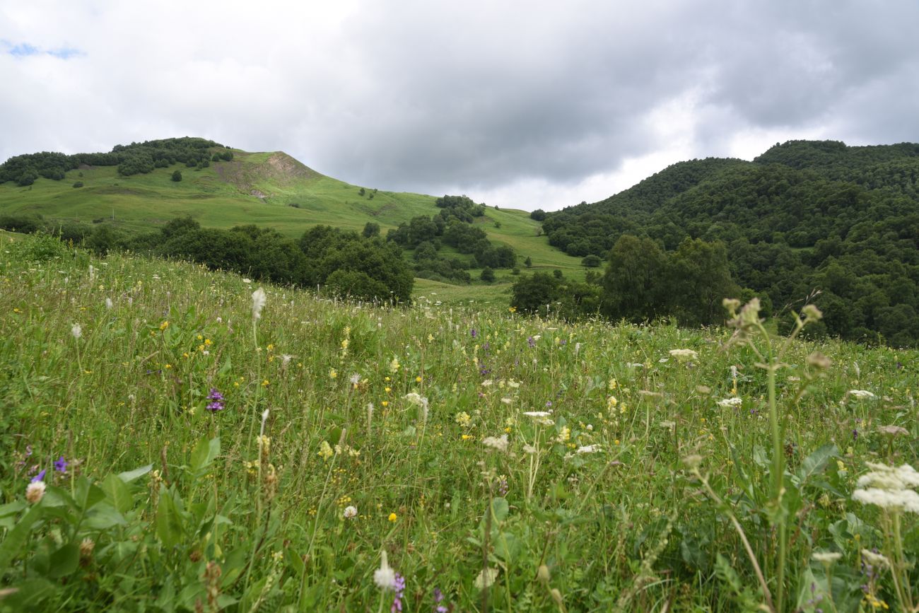 Хакмадой, image of landscape/habitat.