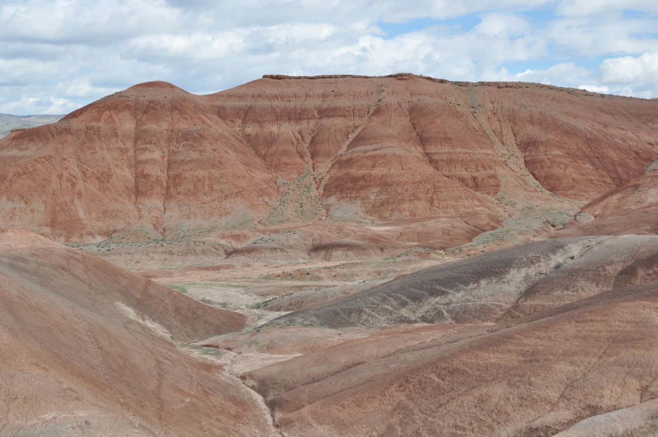 Урочище Красные горы, image of landscape/habitat.