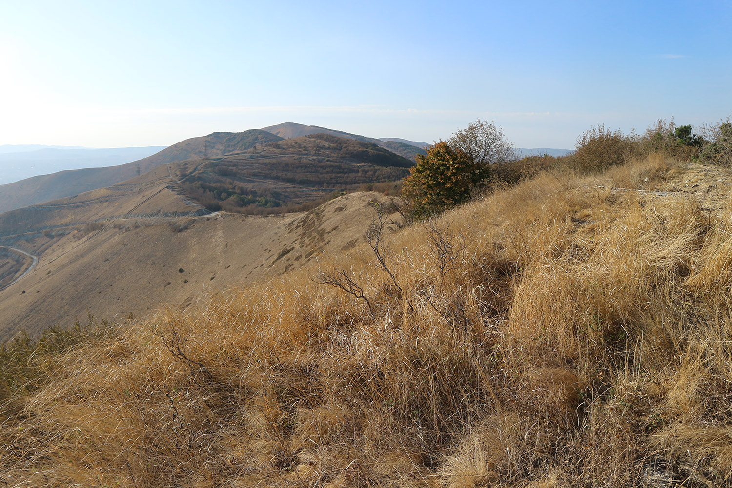 Перевал Маркотх, image of landscape/habitat.