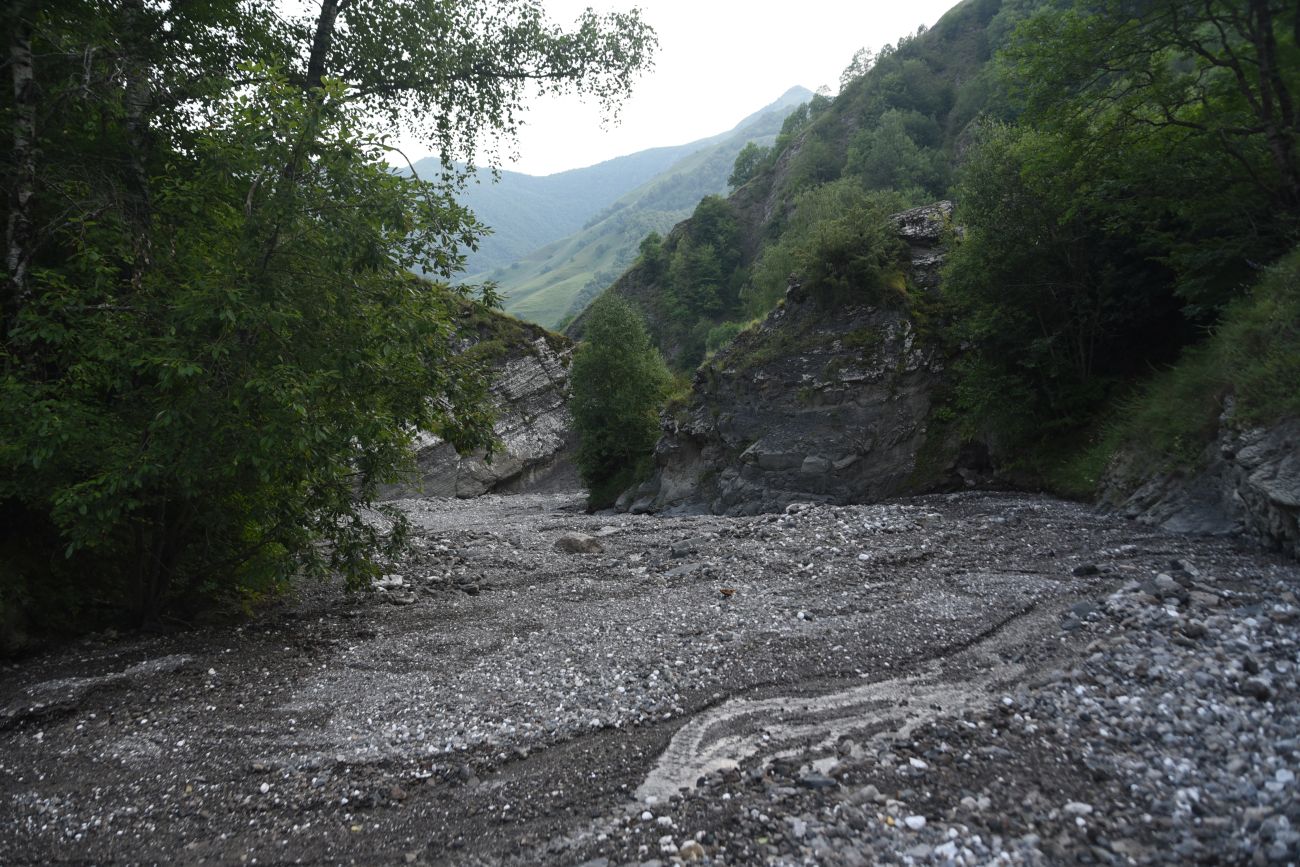 Левый приток реки Цесиахк, image of landscape/habitat.