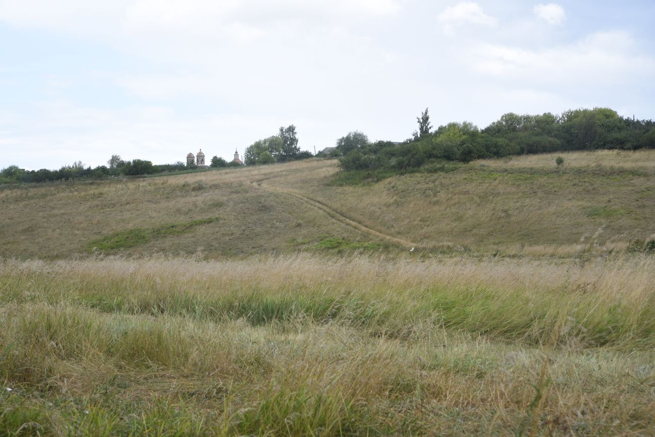 Воейково, image of landscape/habitat.