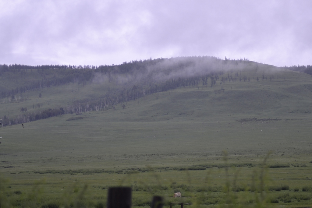 Река Курулга и гора Ундур, image of landscape/habitat.