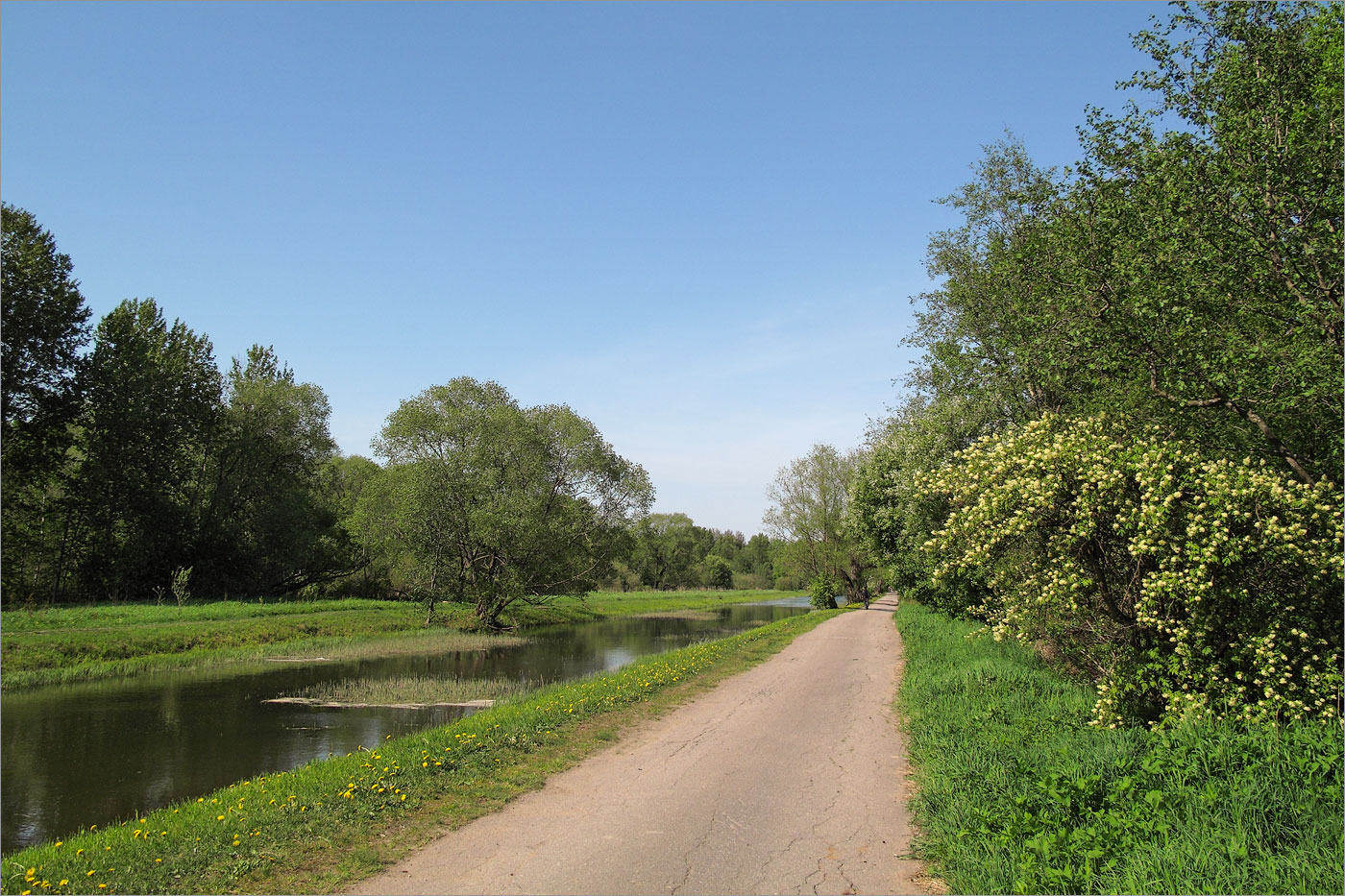 Луговой парк, image of landscape/habitat.