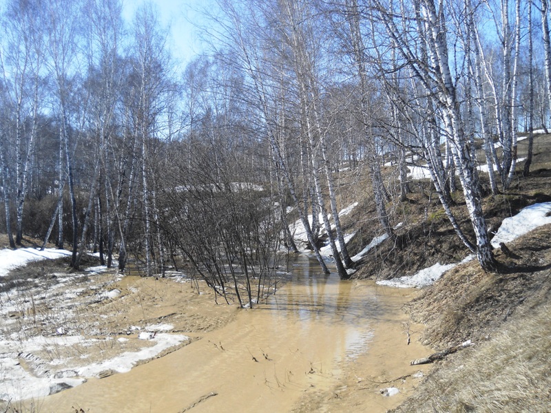 Дарвинская тропа, image of landscape/habitat.