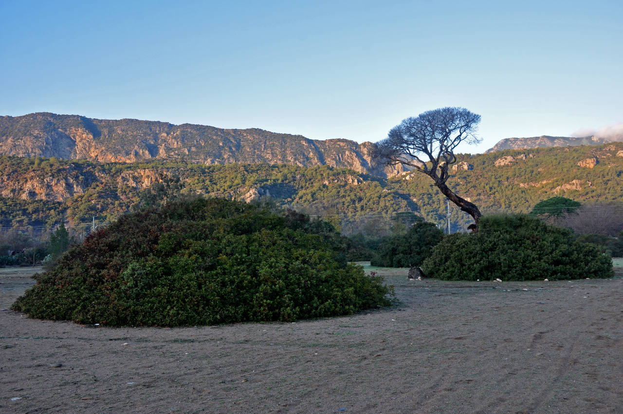 Бухта Чиралы и окрестности, image of landscape/habitat.