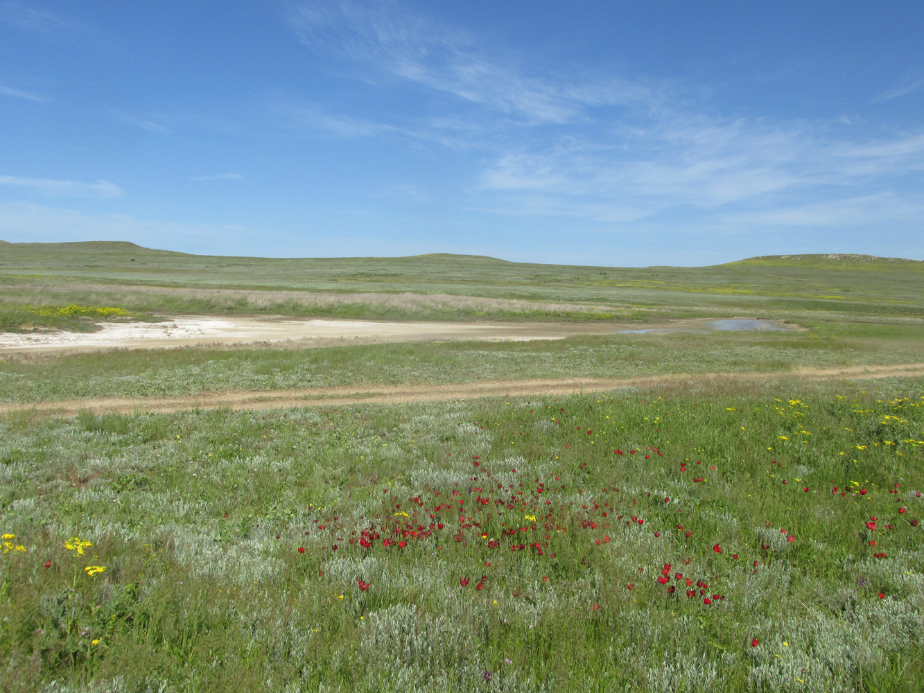 Караларская степь, image of landscape/habitat.