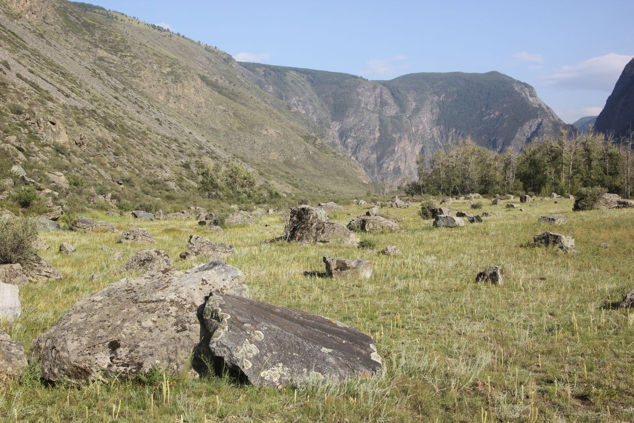 Окрестности ручья Куркуре, image of landscape/habitat.