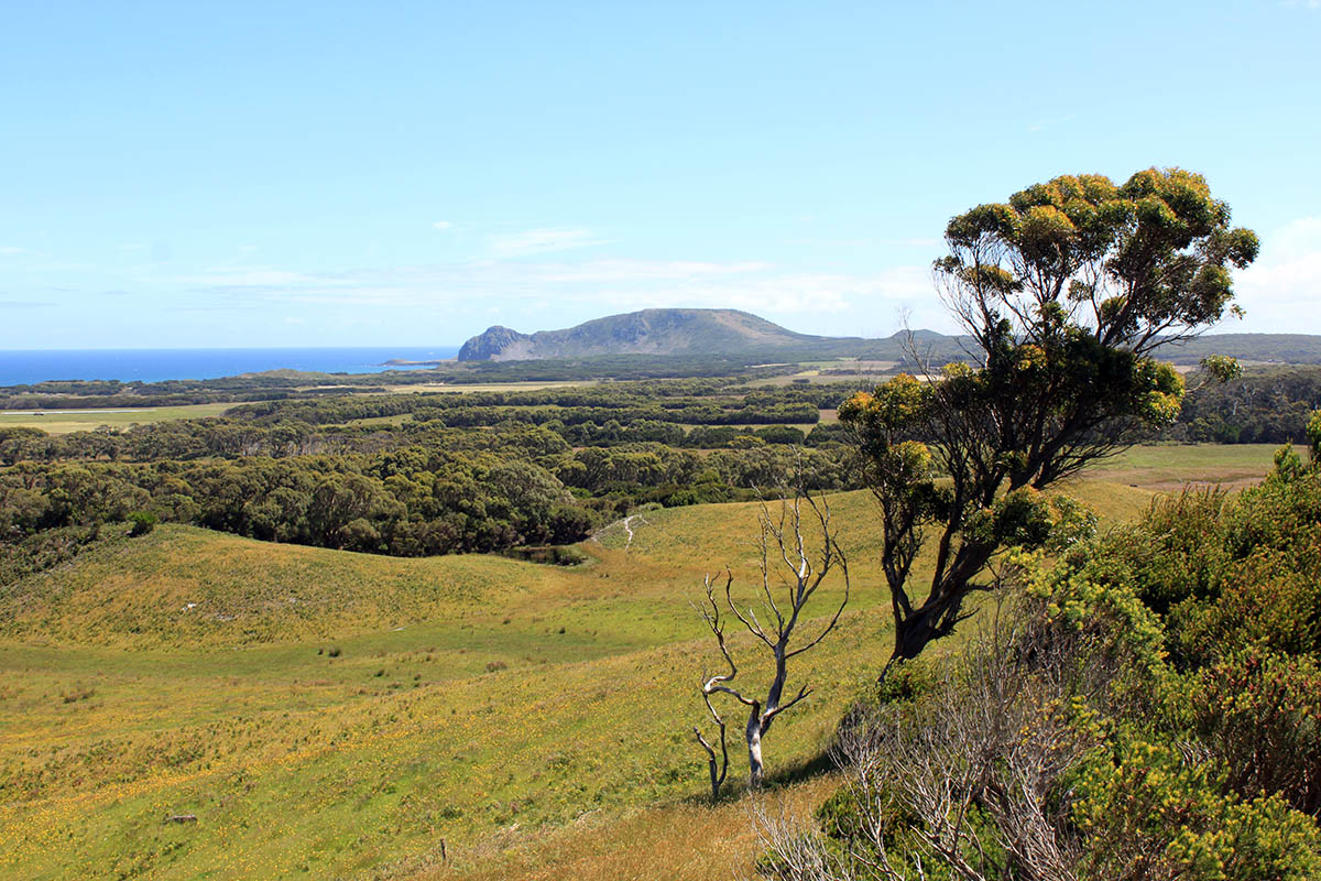 Артур-Пейман, image of landscape/habitat.