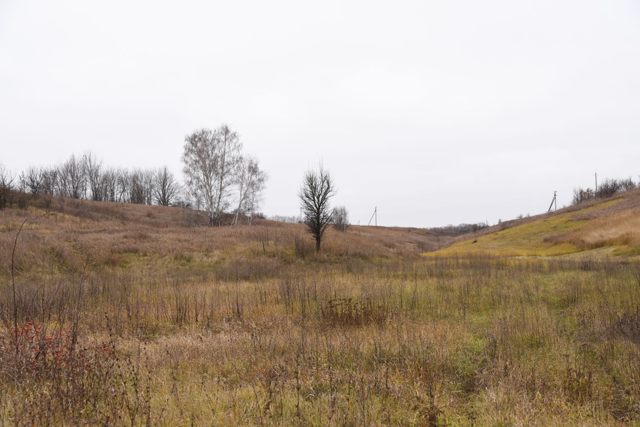 Церковная балка, image of landscape/habitat.