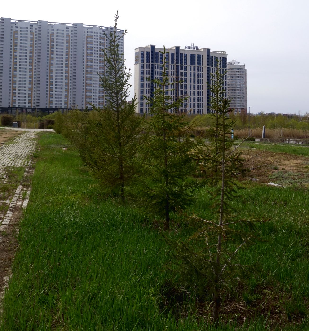 Президентский парк, image of landscape/habitat.