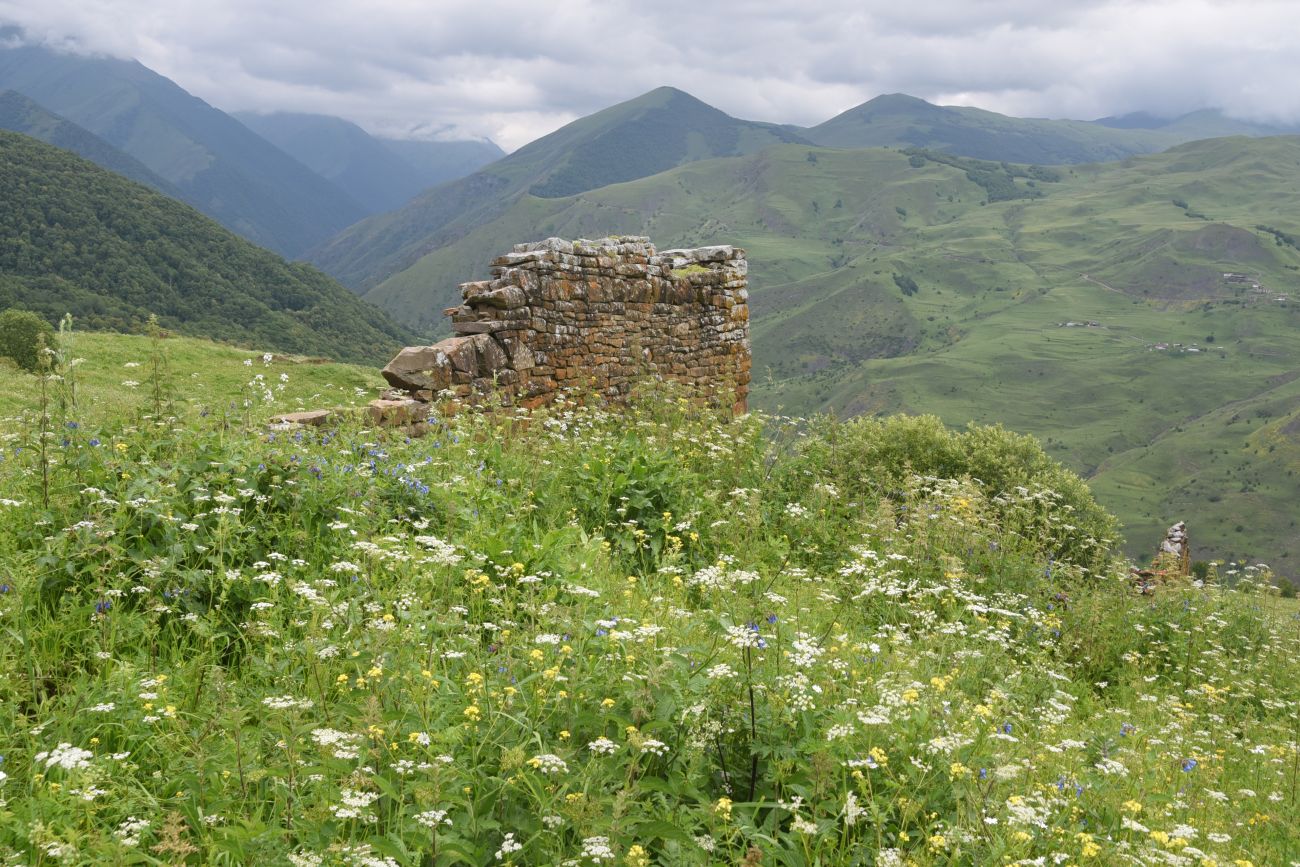 Мальчхиче, image of landscape/habitat.