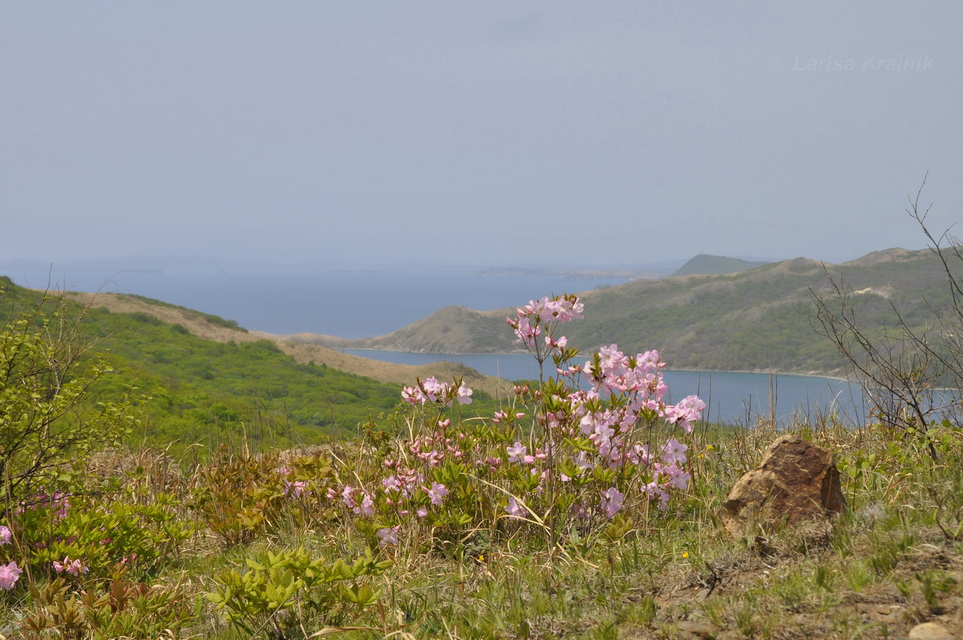 Бухта Витязь, image of landscape/habitat.