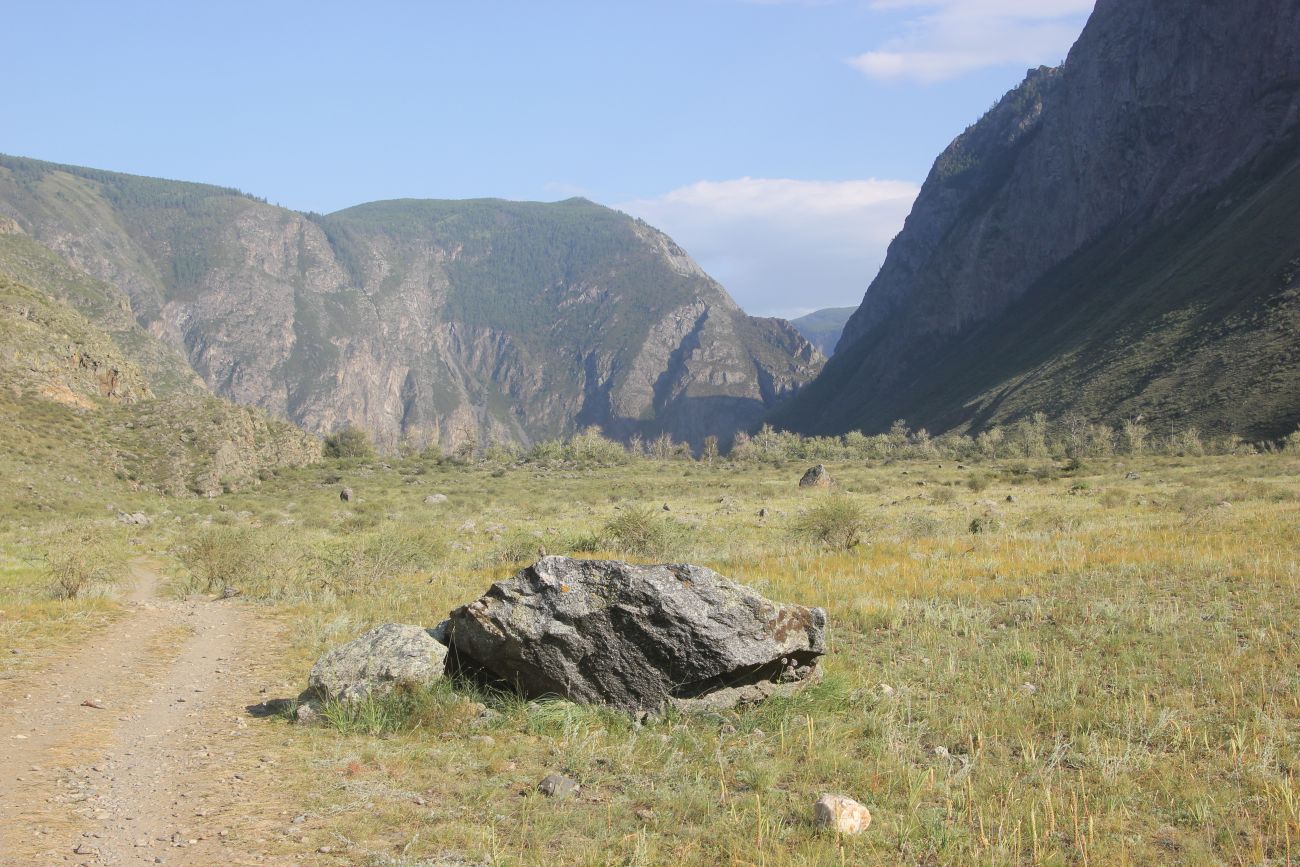 Окрестности ручья Куркуре, image of landscape/habitat.