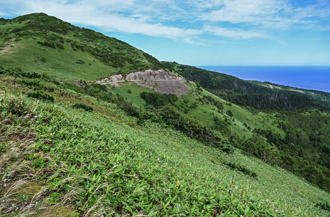 Гора Бережная, image of landscape/habitat.