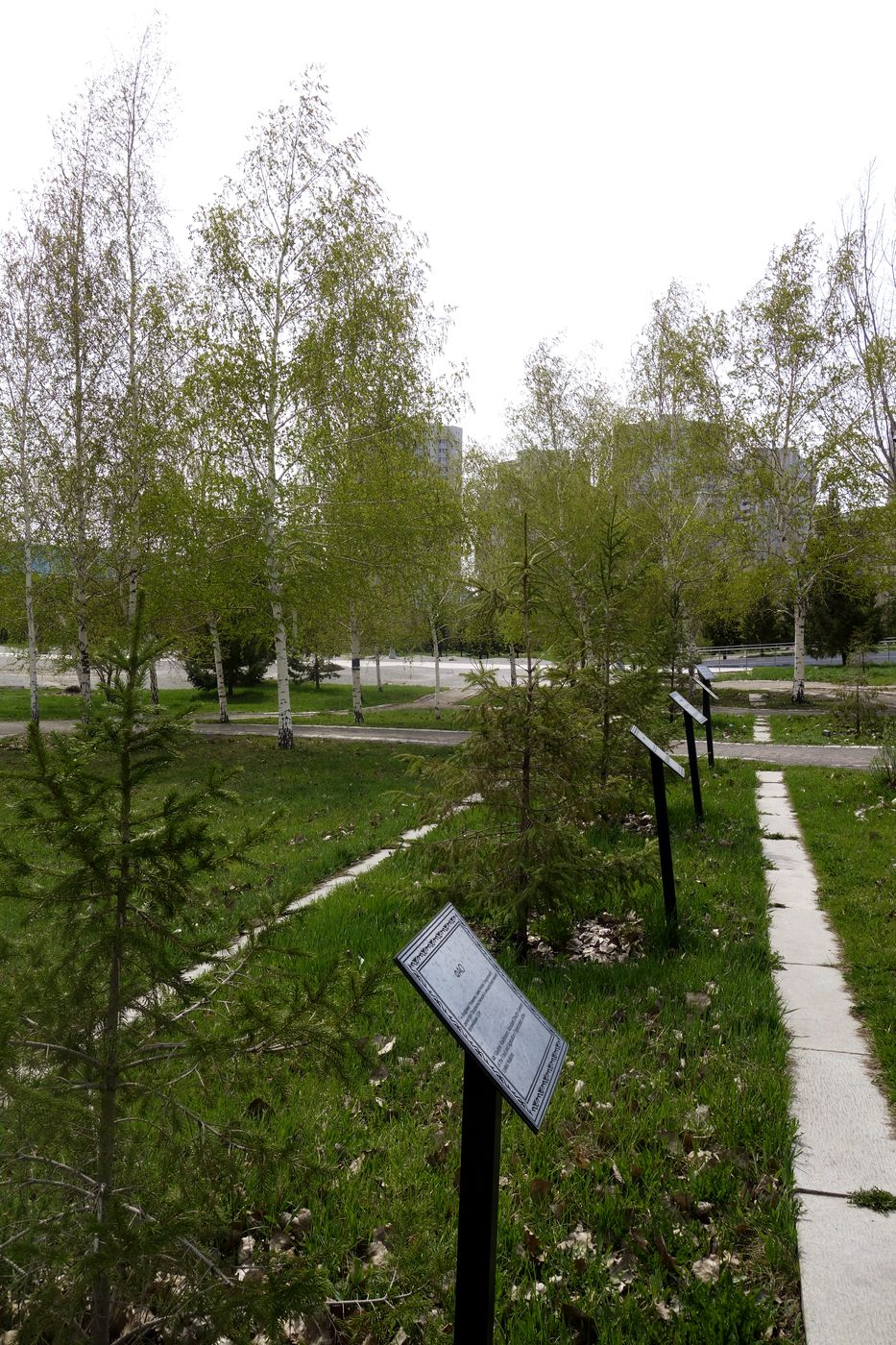 Президентский парк, image of landscape/habitat.