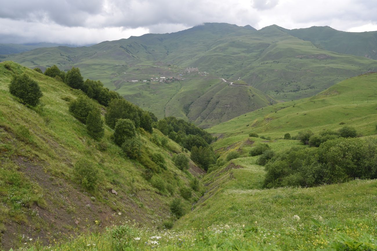 Мальчхиче, изображение ландшафта.