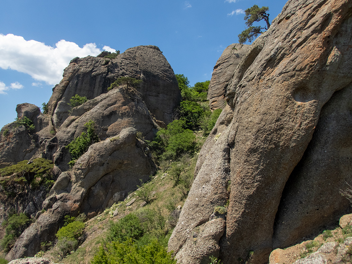 Южная Демерджи, image of landscape/habitat.