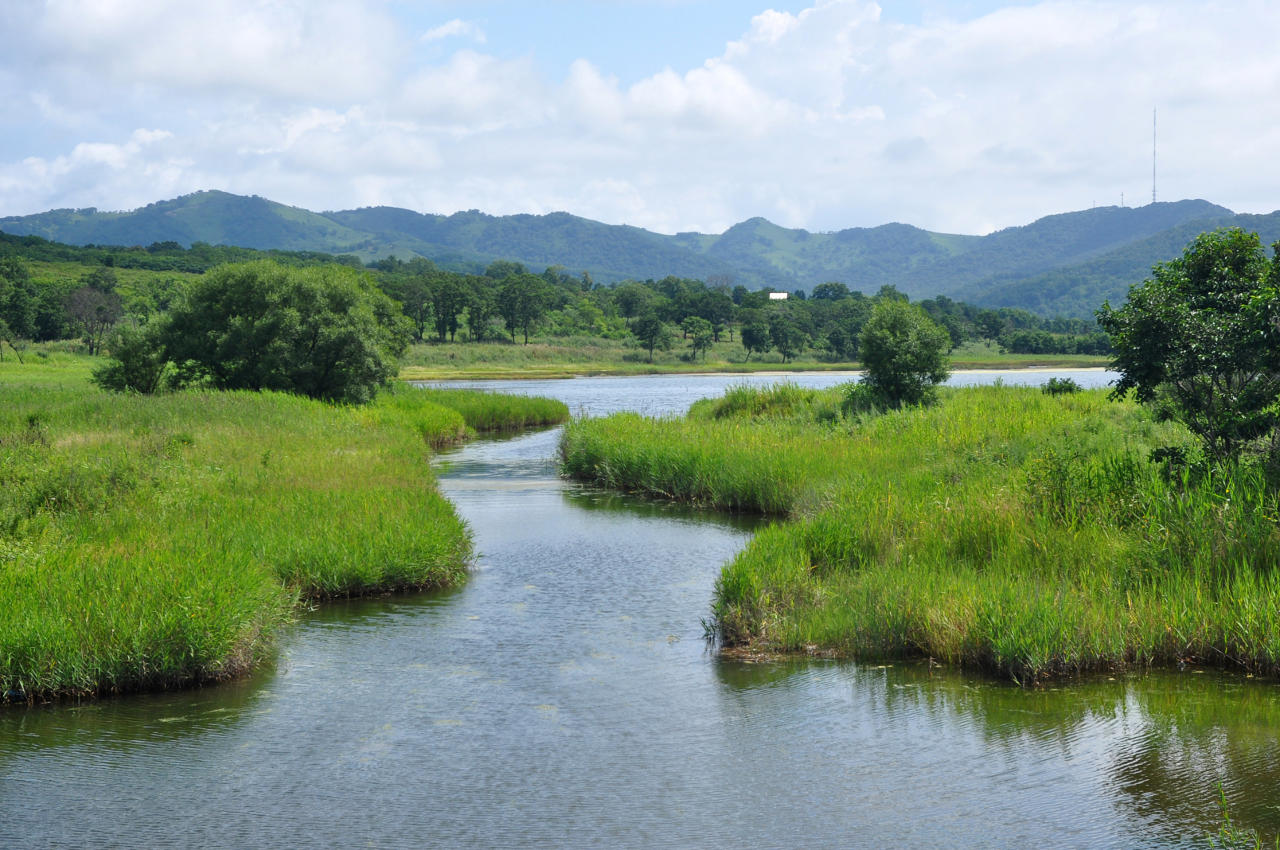 Находка и окрестности, image of landscape/habitat.