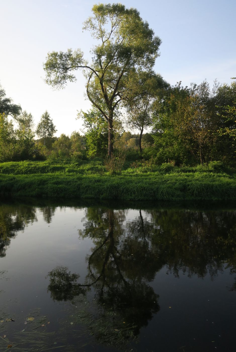 Истра и окрестности, image of landscape/habitat.