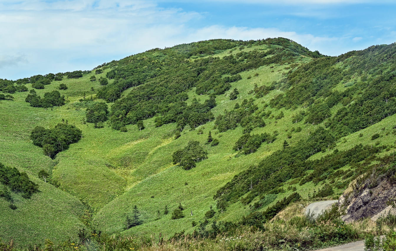 Гора Бережная, изображение ландшафта.