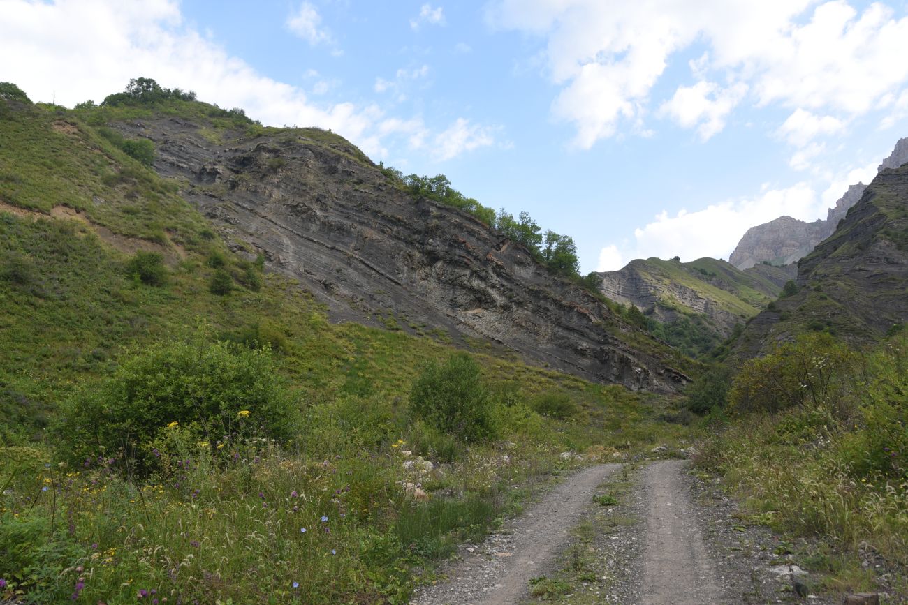 Окрестности водопада Цеси, image of landscape/habitat.