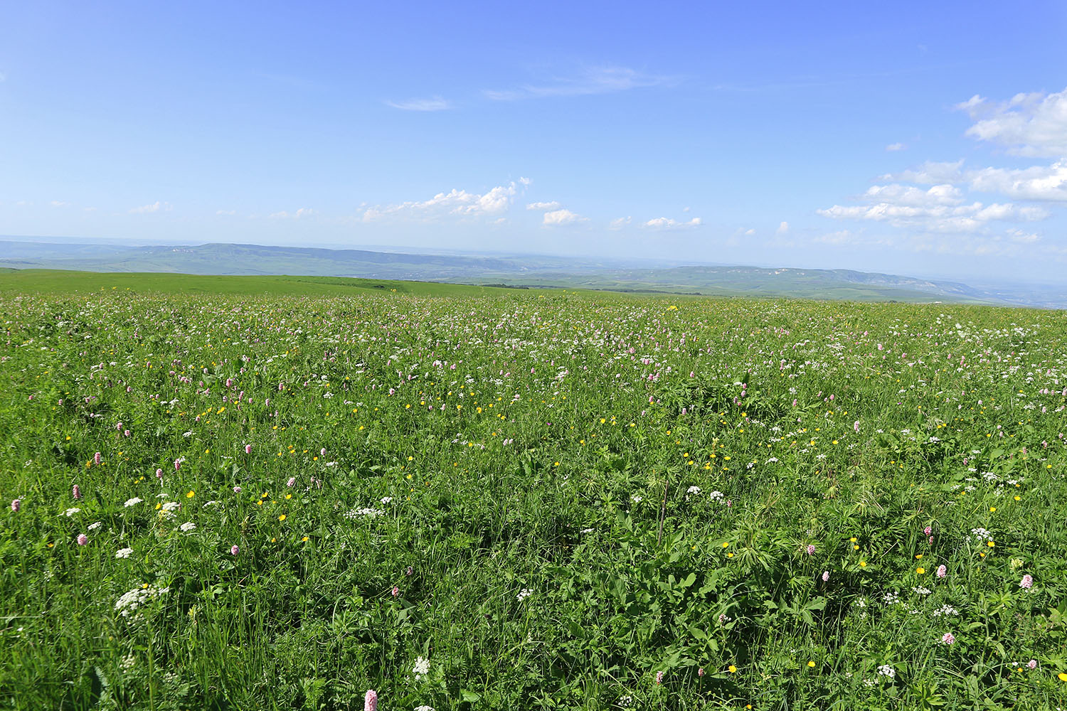 Джисса, image of landscape/habitat.