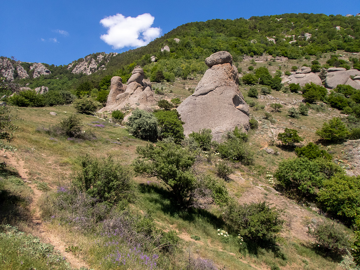 Южная Демерджи, image of landscape/habitat.