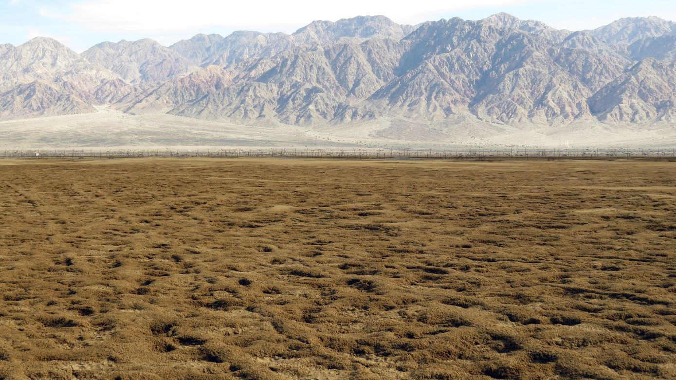 Солончак Эврона, image of landscape/habitat.