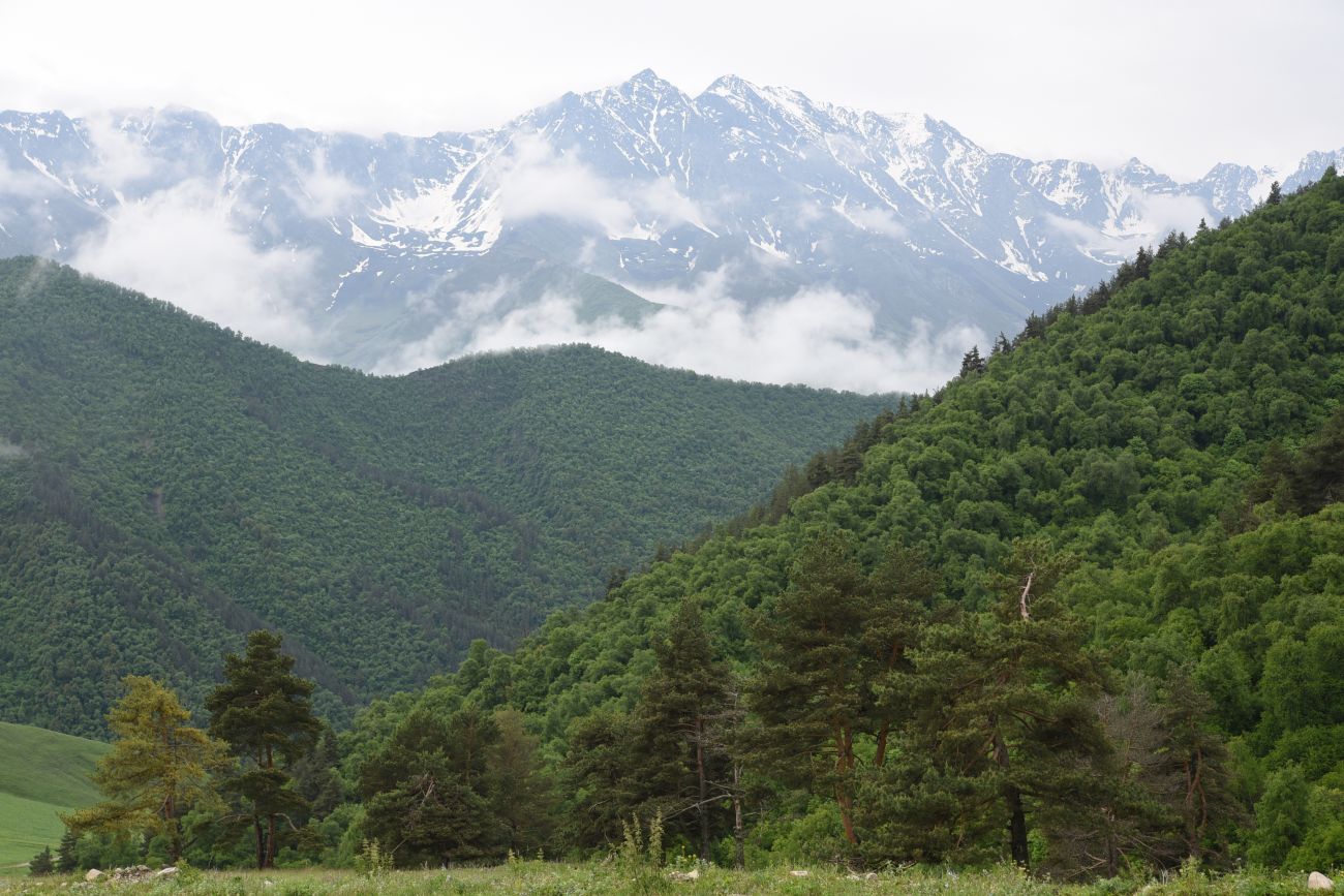 Окрестности урочища Оасег, image of landscape/habitat.