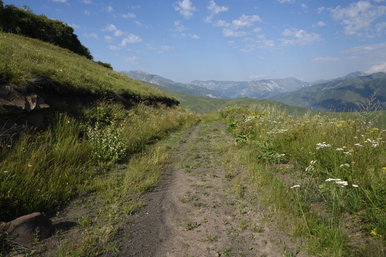 Юго-восточный склон Чархунышкорт, image of landscape/habitat.