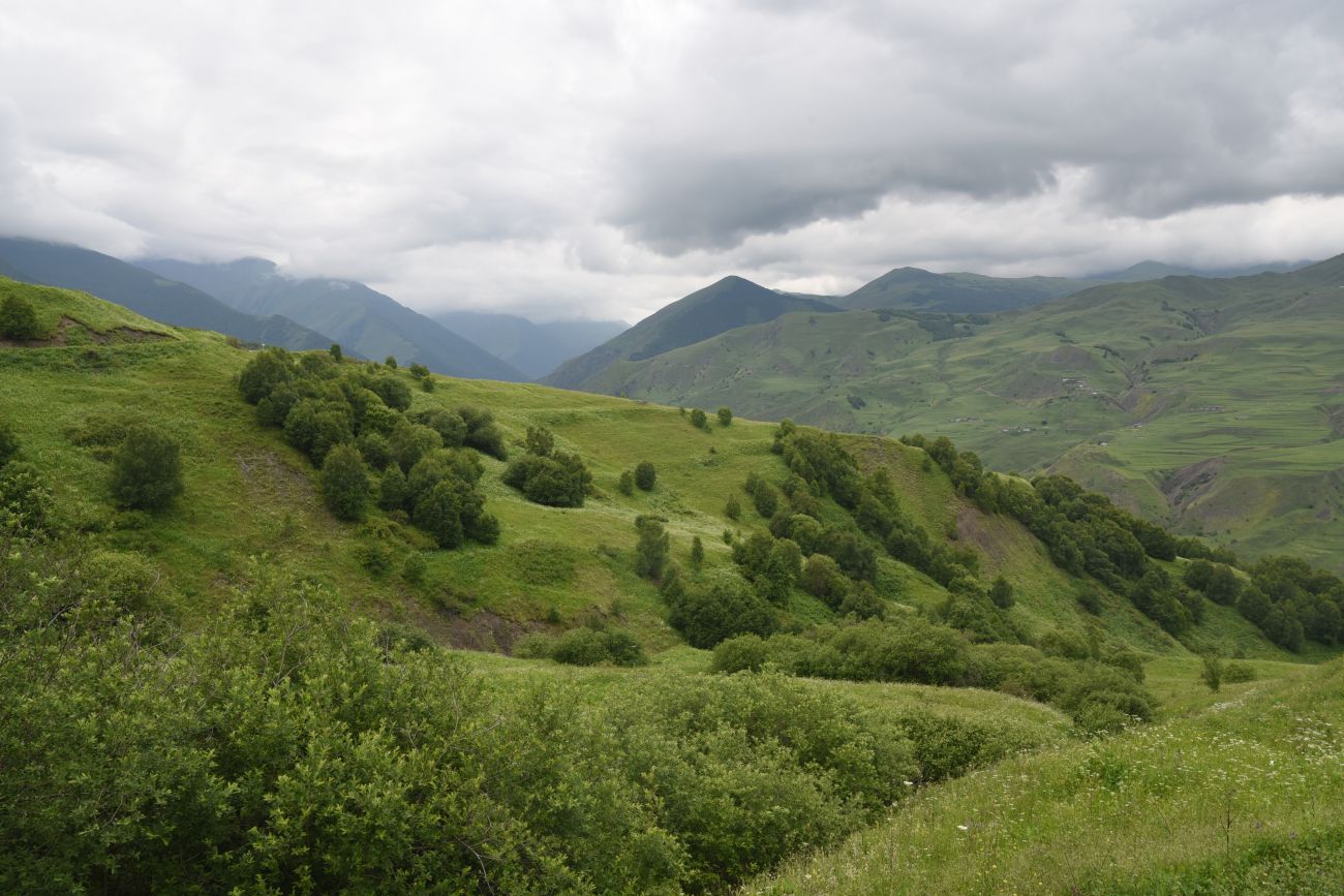 Мальчхиче, image of landscape/habitat.