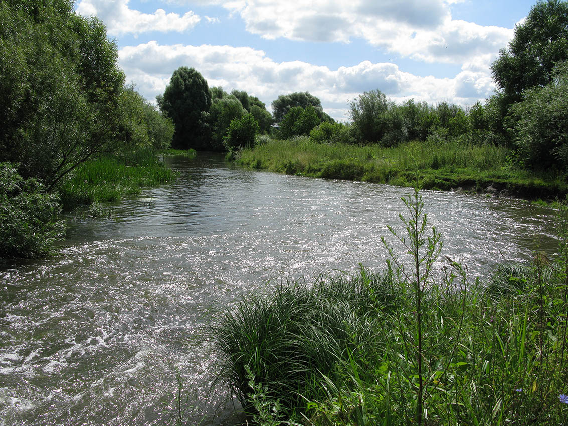 Нижнее течение реки Чернь, image of landscape/habitat.