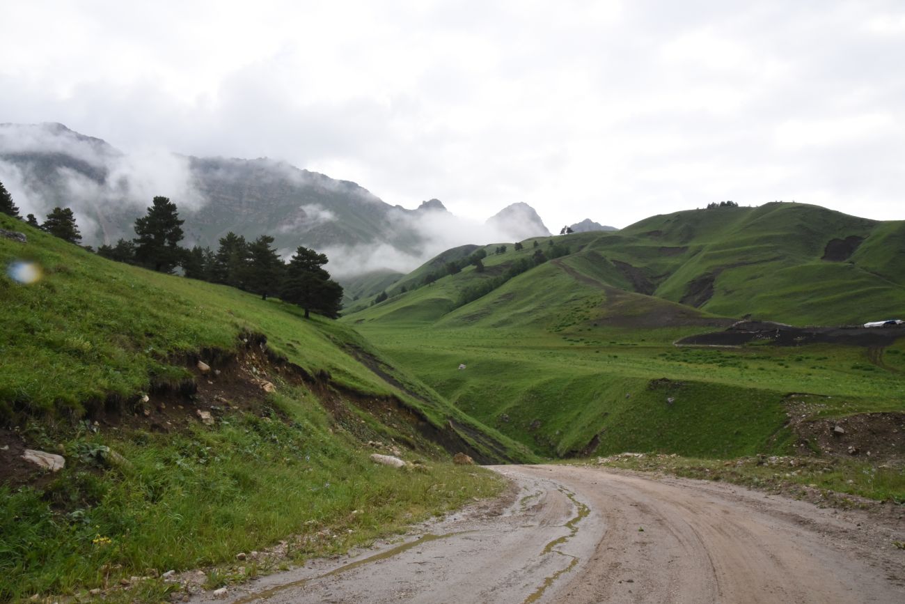 Окрестности урочища Оасег, image of landscape/habitat.