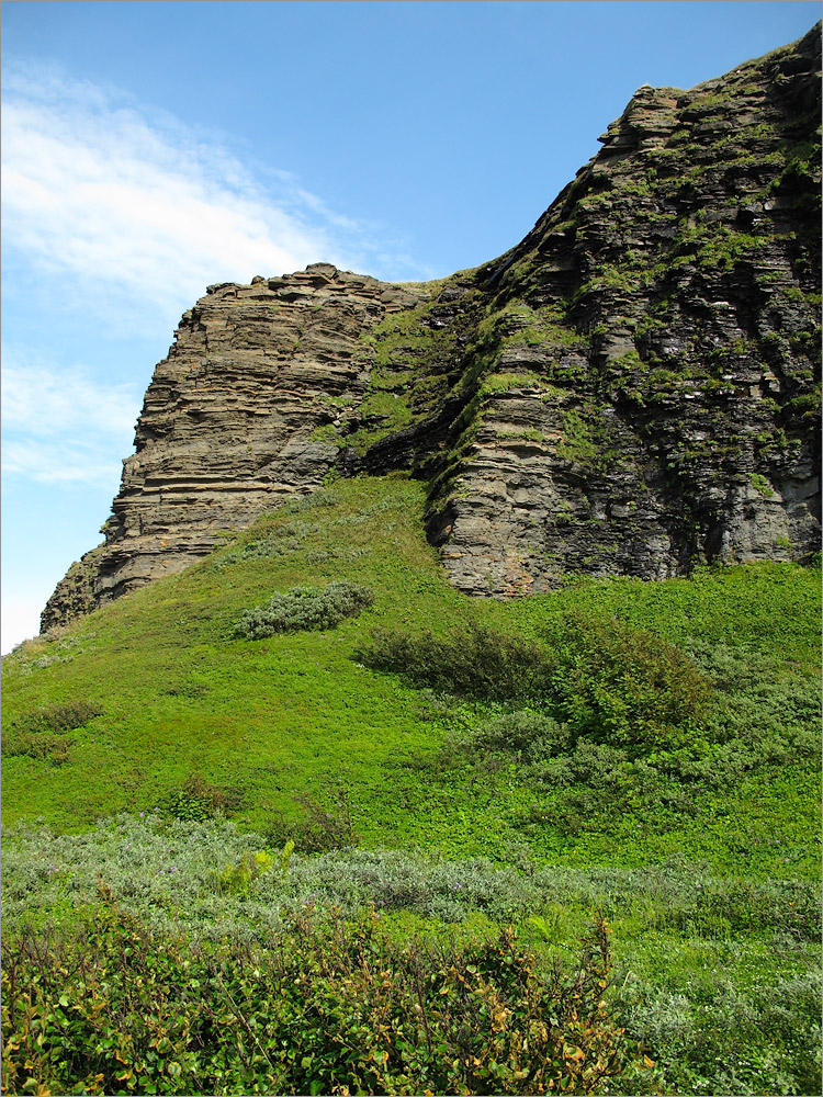 Мыс Земляной, image of landscape/habitat.