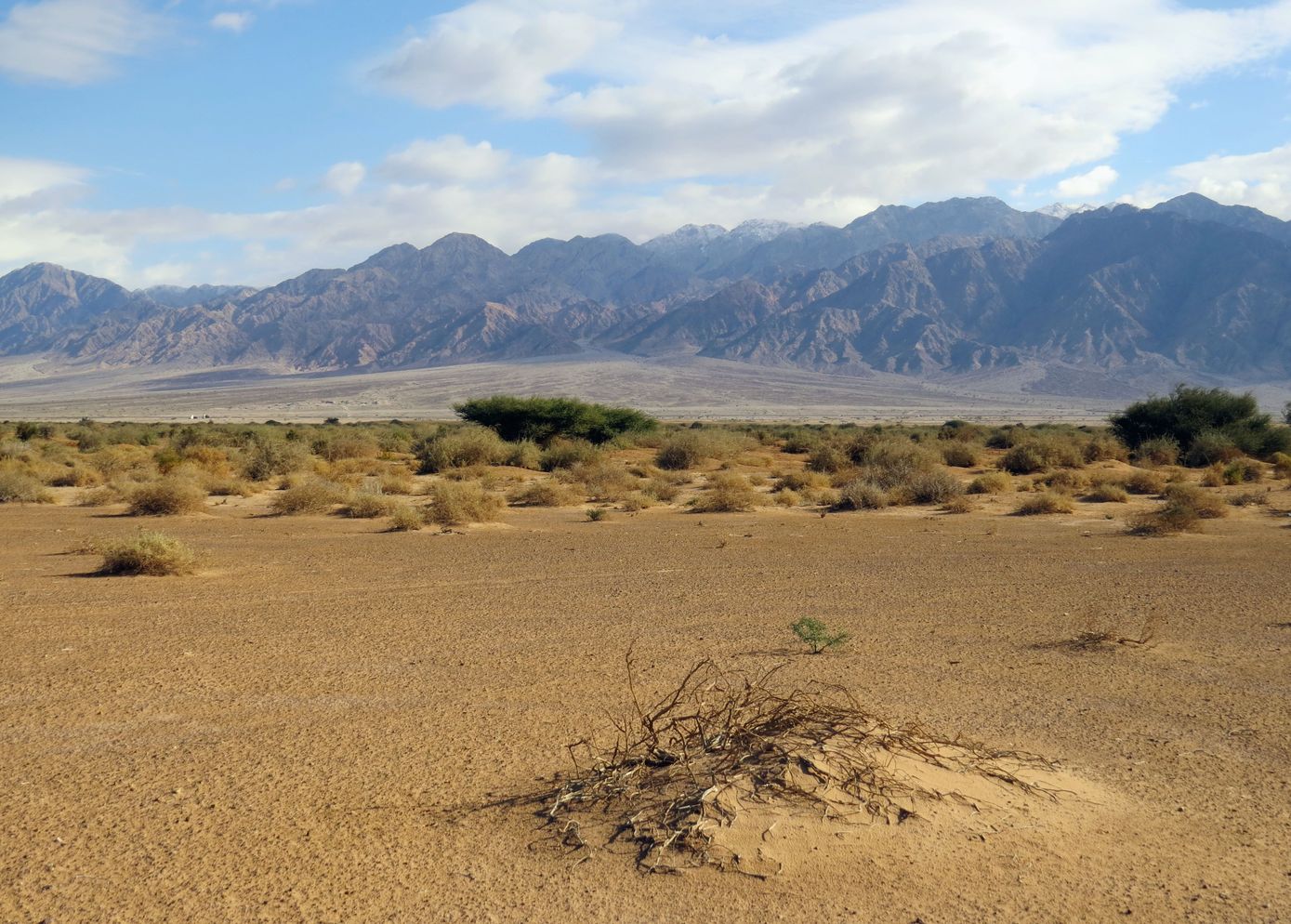 Солончак Эврона, image of landscape/habitat.